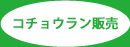 コチョウランの販売