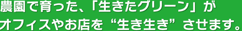 自社農園で育った、「生きたグリーン」がオフィスやお店を”生き生き”させます。